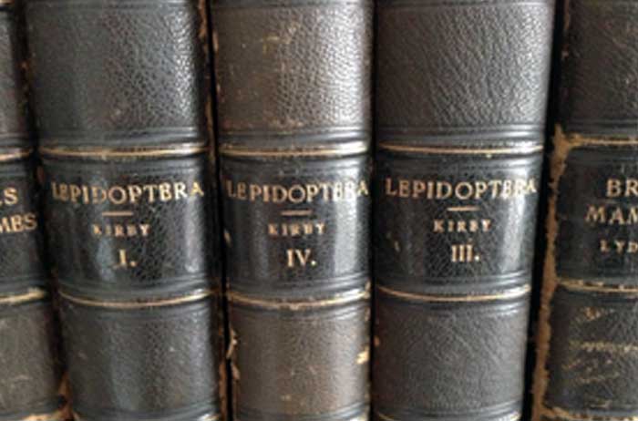 The Taylor Literary Collection